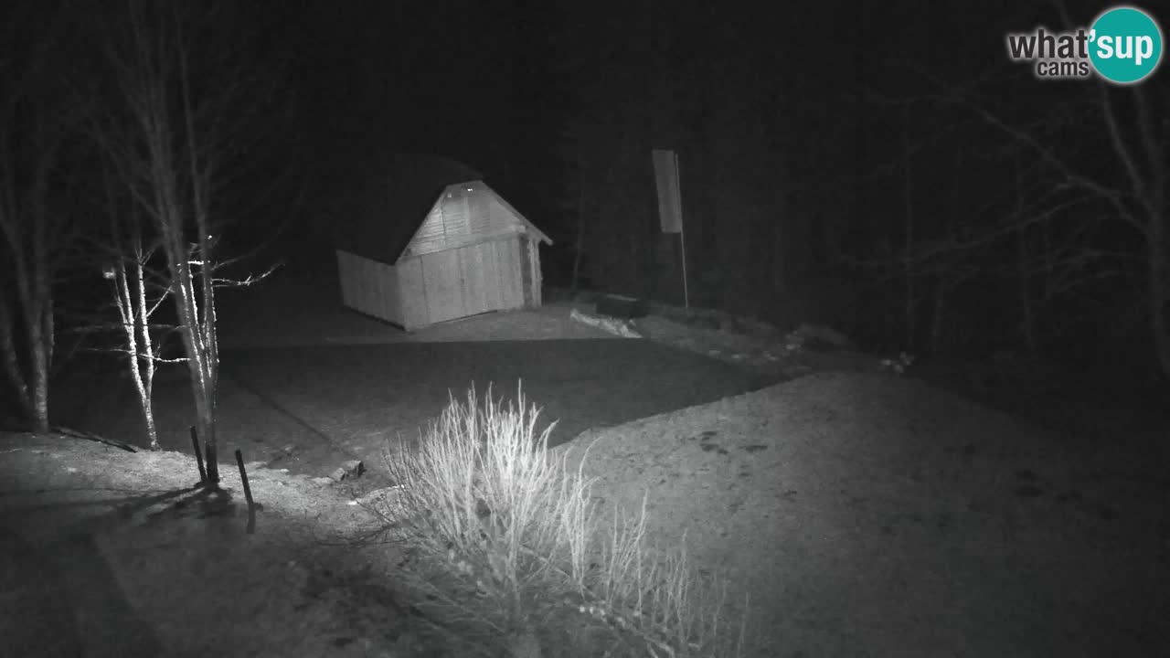 Webcam Lukanja – Pohorje houses a Water village