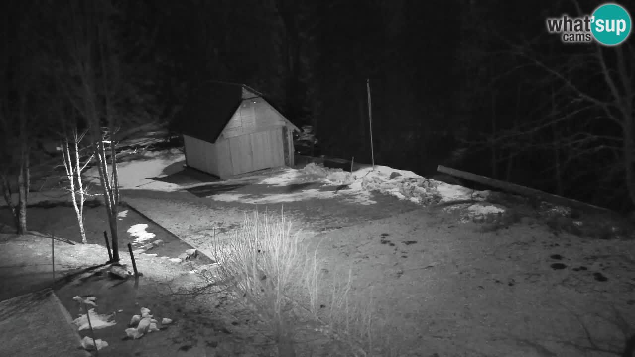 Spletna kamera Lukanja – Water Village | Pohorje Houses