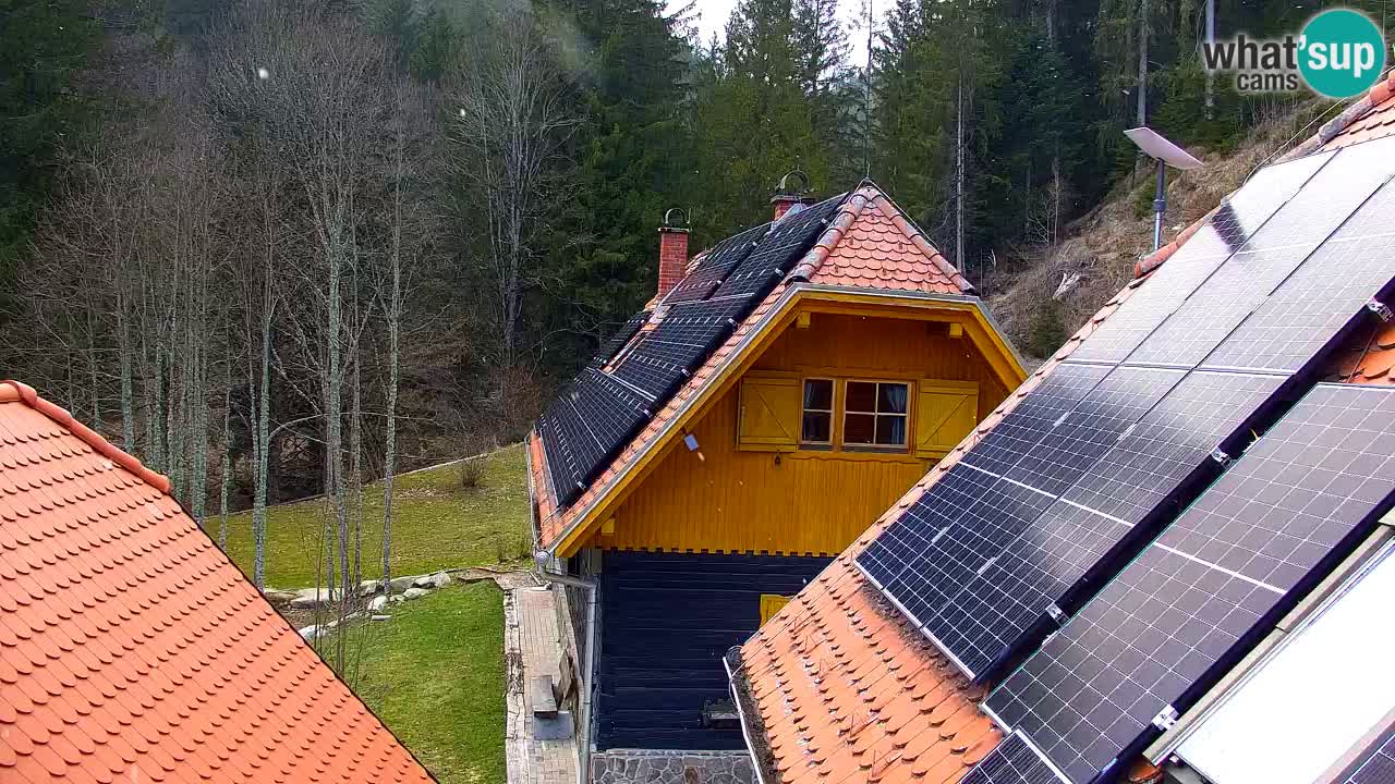 Webcam Lukanja – Water Village | Pohorje Houses