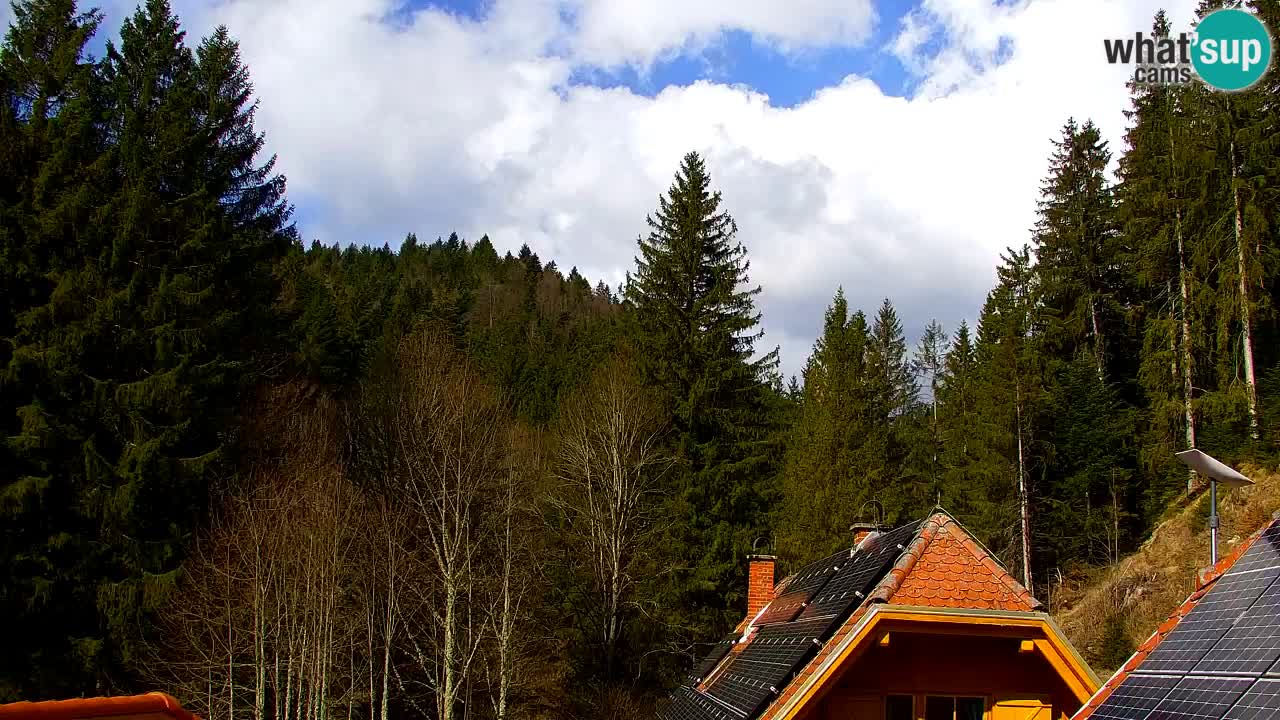 Webcam Lukanja – Pohorje houses a Water village