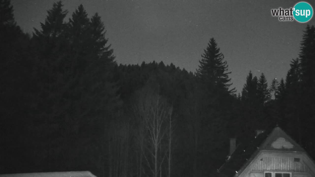 Webcam Lukanja – Pohorje houses a Water village