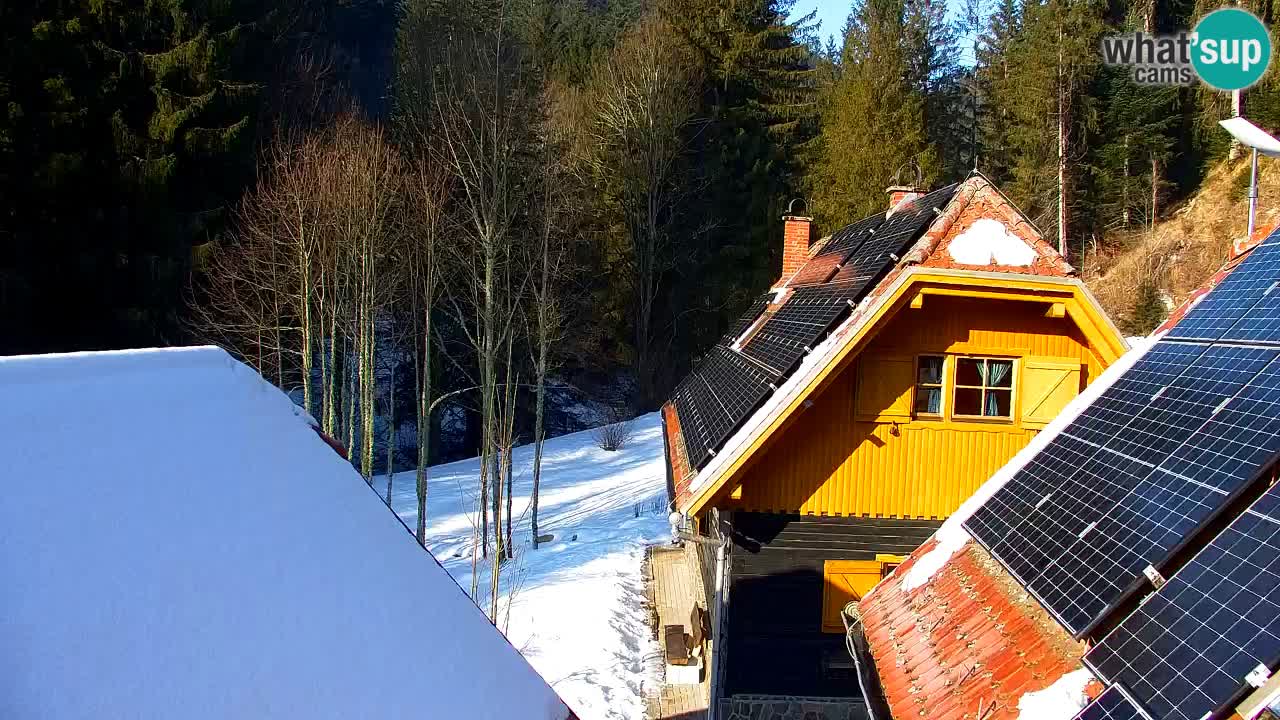 Webcam Lukanja – Water Village | Pohorje Houses