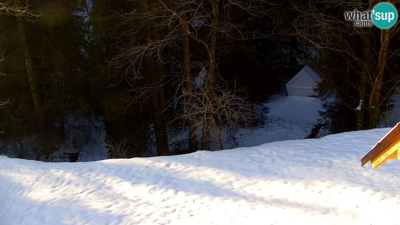 Webcam Lukanja – Water Village | Pohorje Houses