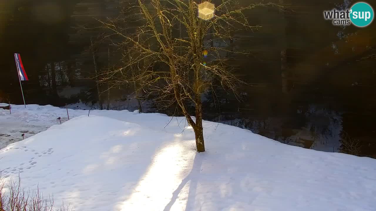 Webcam Lukanja – Water Village | Pohorje Houses