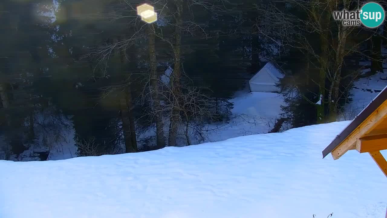 Webcam Lukanja – Pohorje houses a Water village