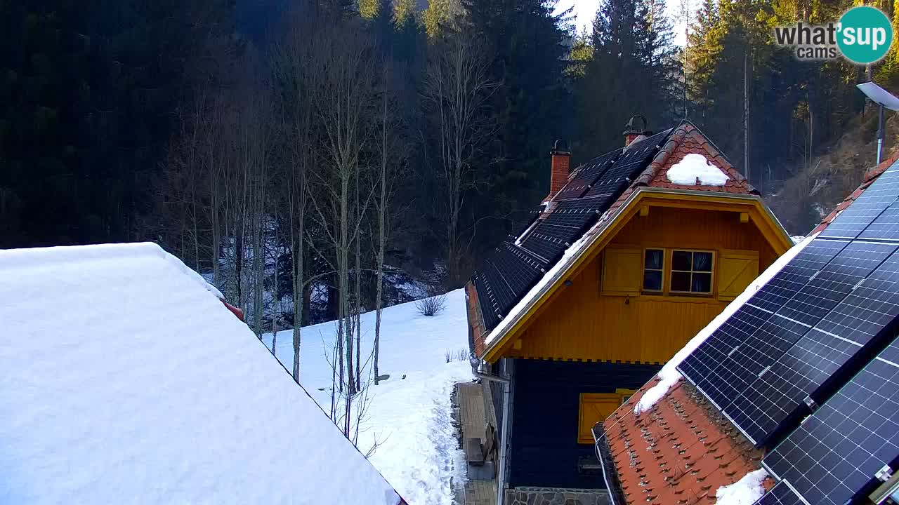 Web kamera Lukanja – Water Village | Pohorje Houses