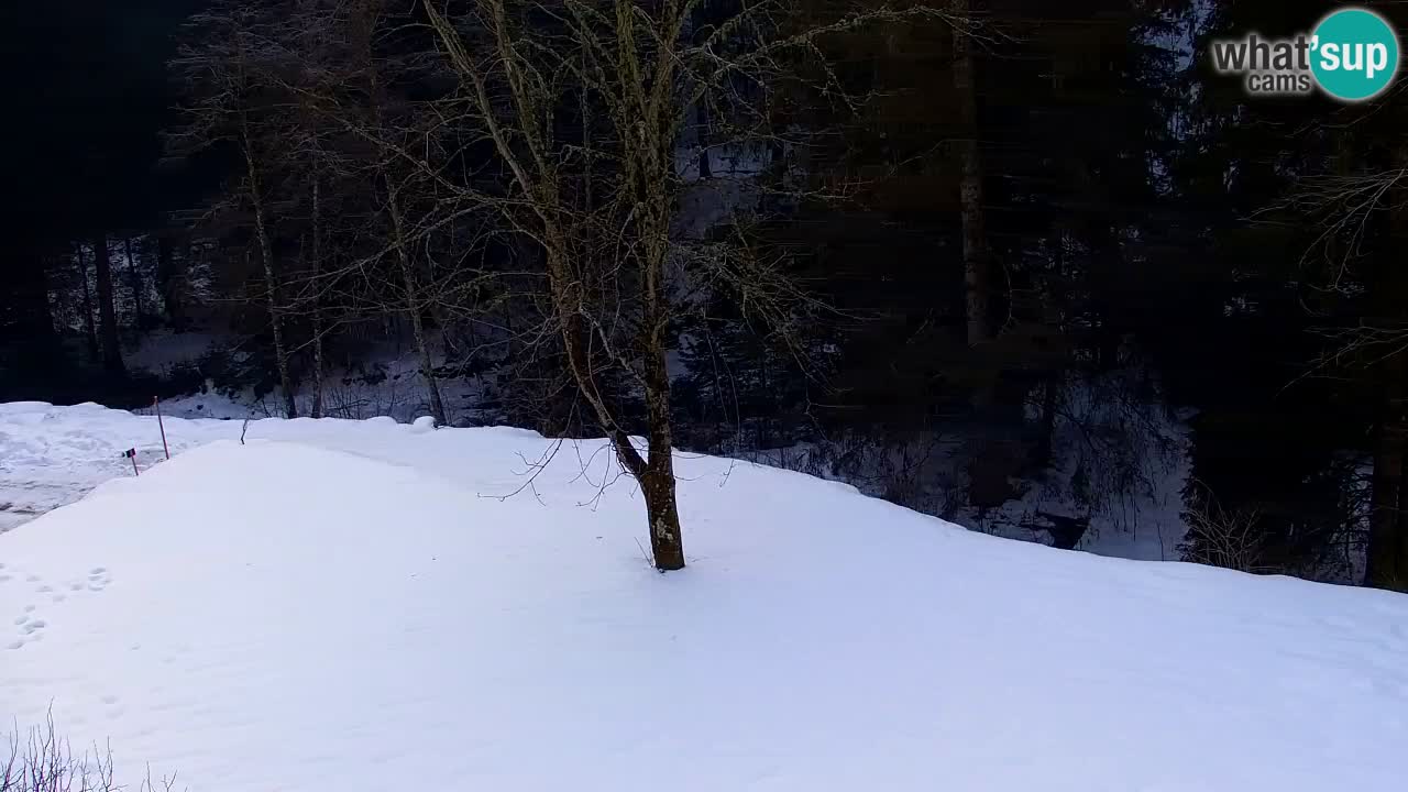 Spletna kamera Lukanja – Water Village | Pohorje Houses