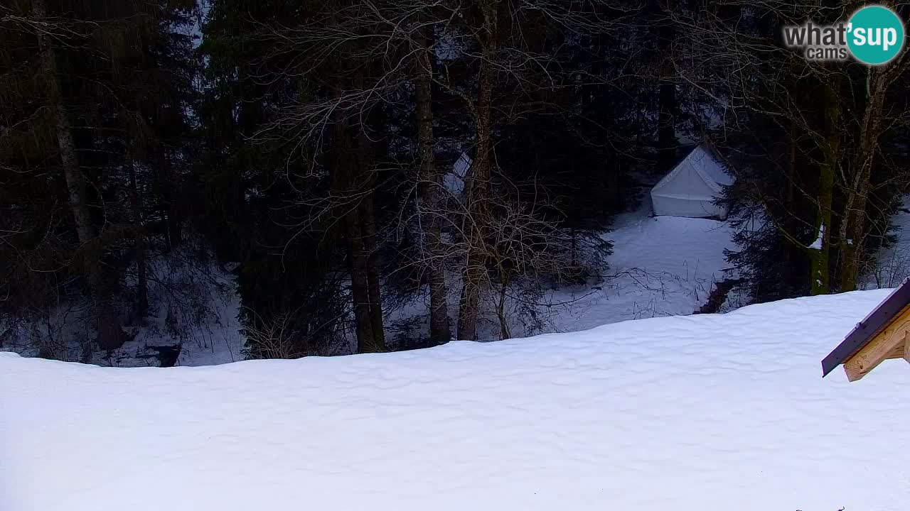 Webcam Lukanja – Water Village | Pohorje Houses