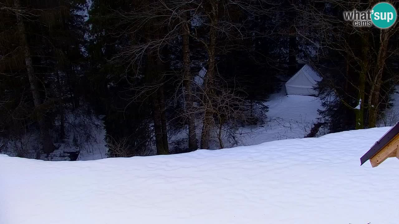 Webcam Lukanja – Water Village | Pohorje Houses