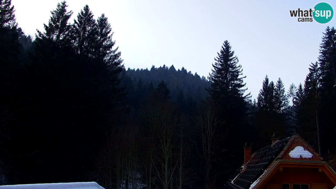 Spletna kamera Lukanja – Water Village | Pohorje Houses