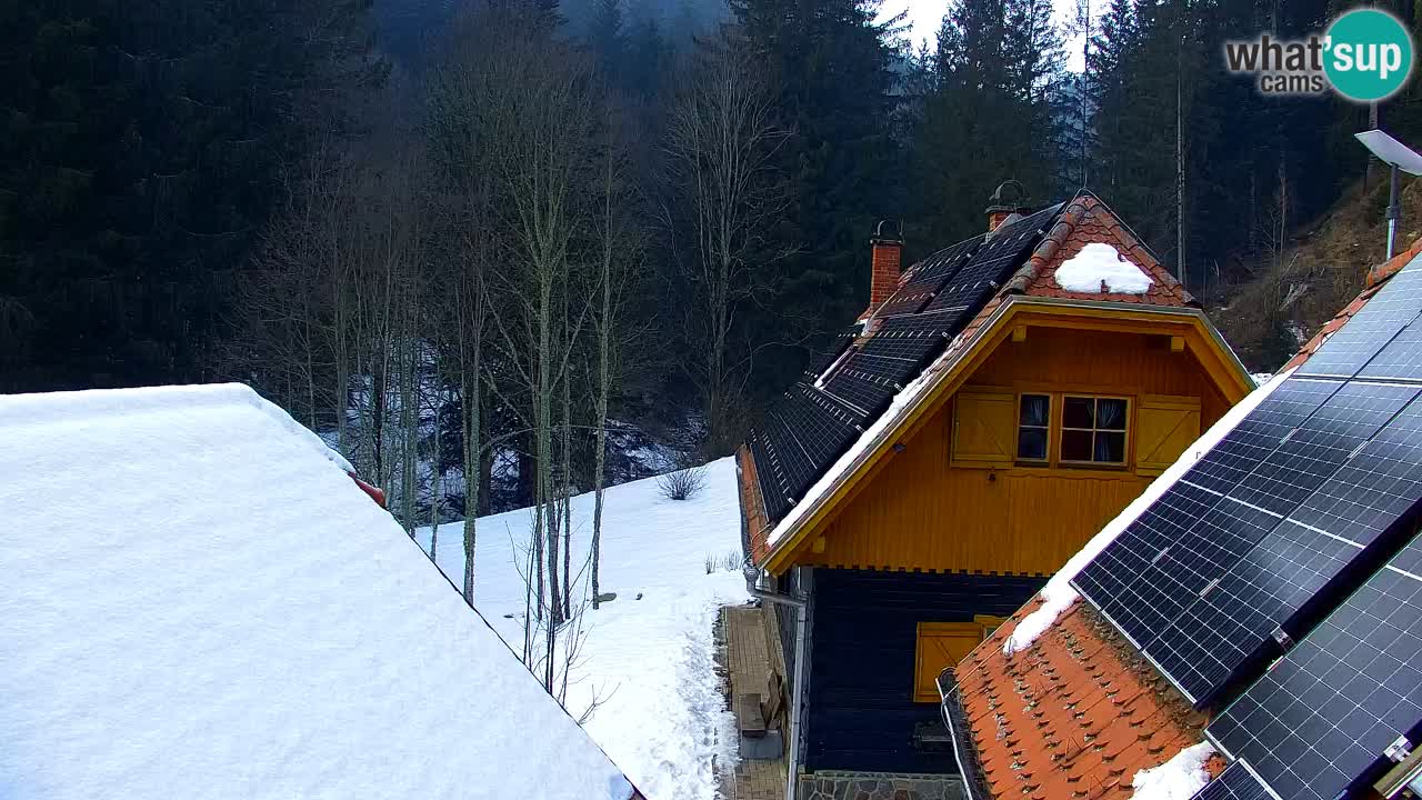 Web kamera Lukanja – Water Village | Pohorje Houses