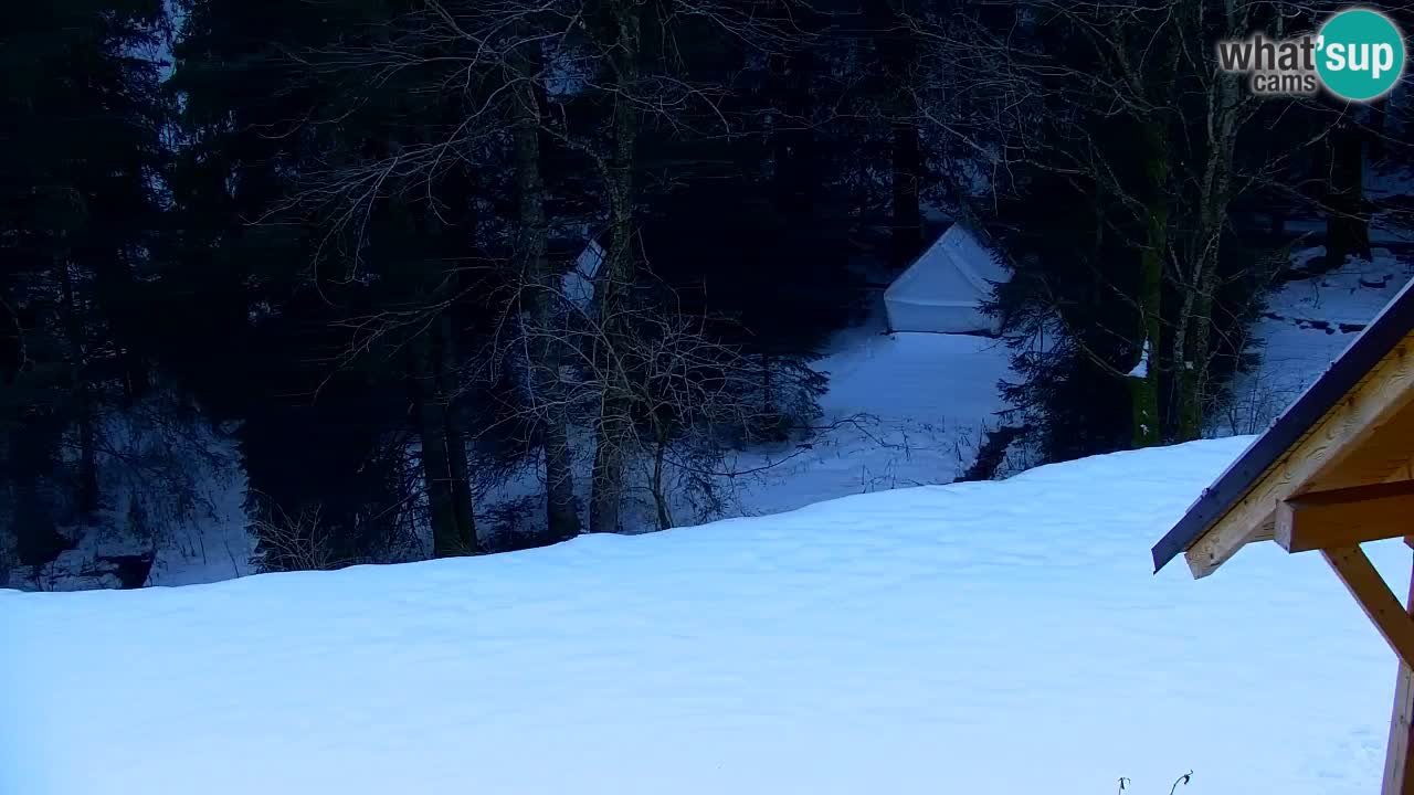 Webcam Lukanja – Water Village | Pohorje Houses