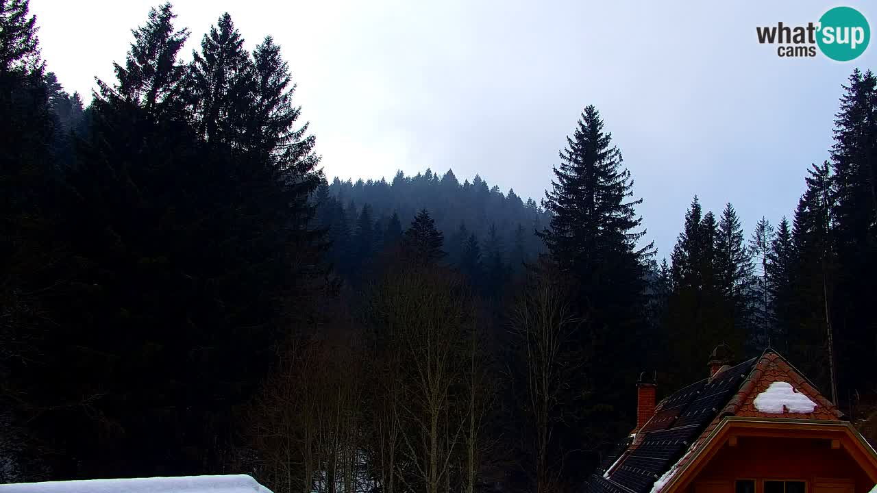 Web kamera Lukanja – Water Village | Pohorje Houses