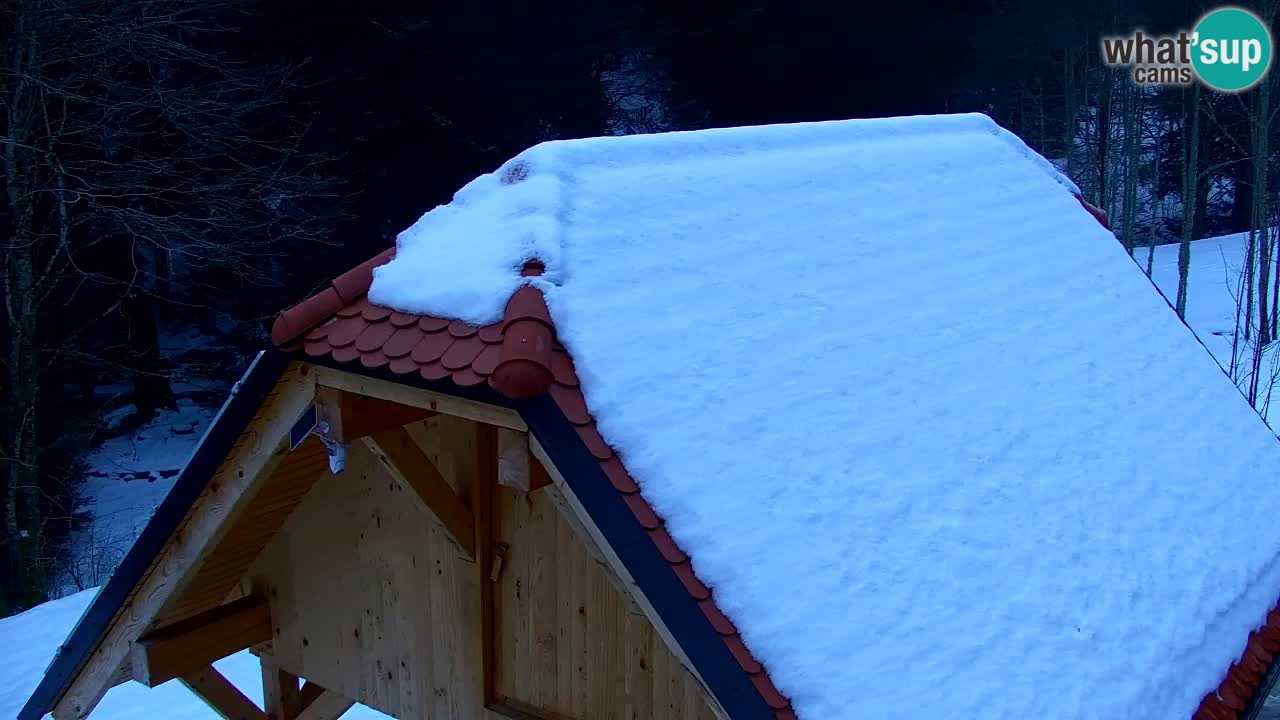 Webcam Lukanja – Water Village | Pohorje Houses