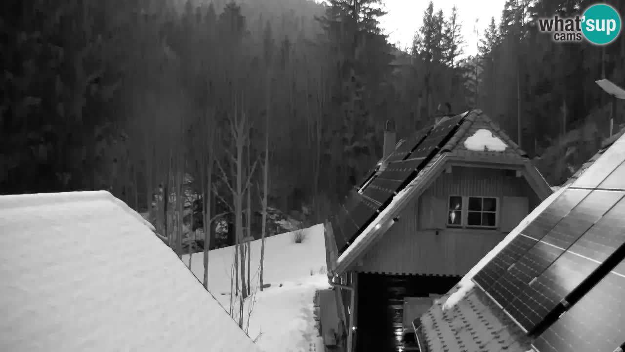 Webcam Lukanja – Water Village | Pohorje Houses