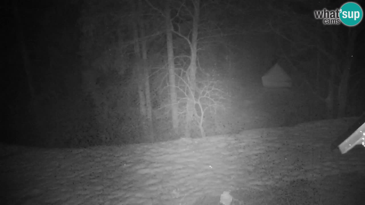 Web kamera Lukanja – Water Village | Pohorje Houses