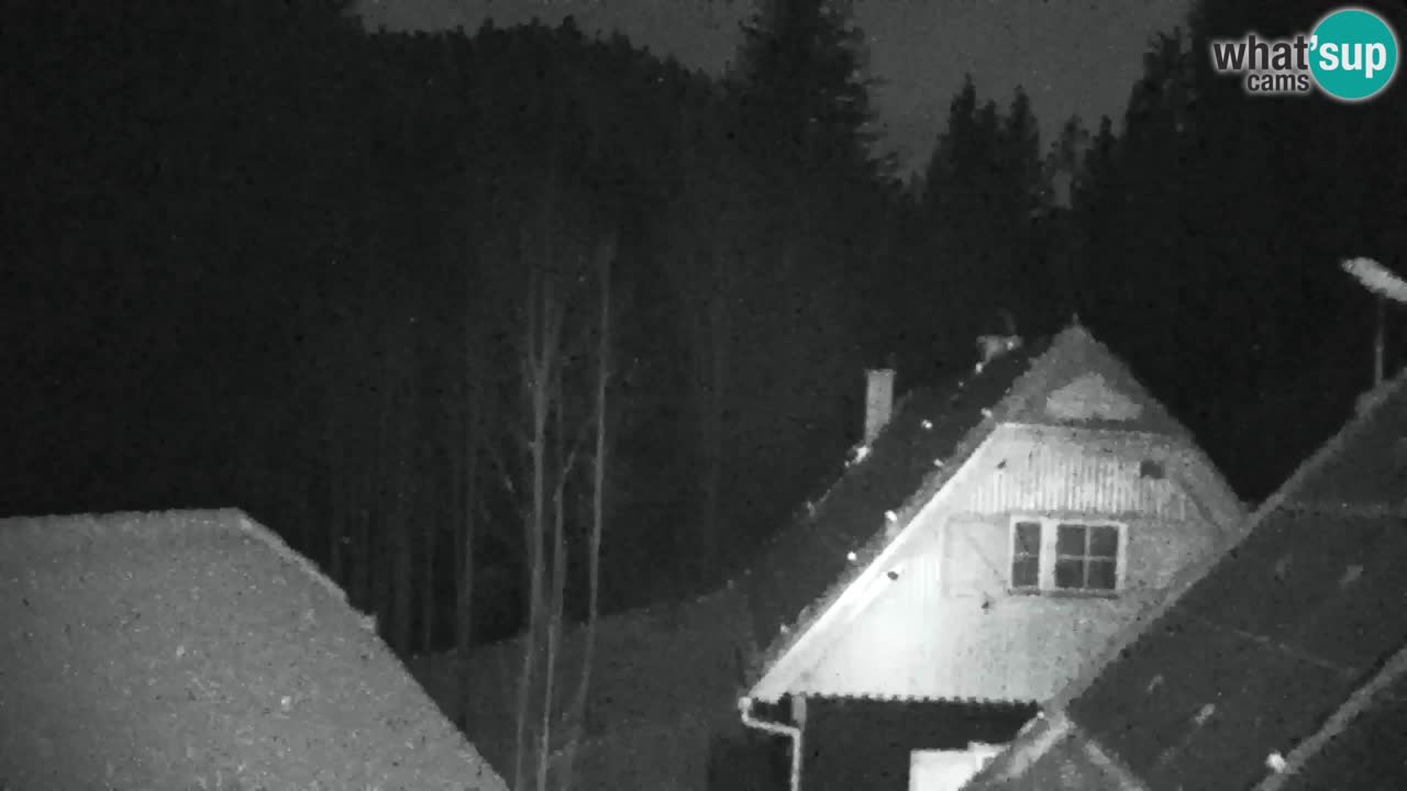 Web kamera Lukanja – Water Village | Pohorje Houses