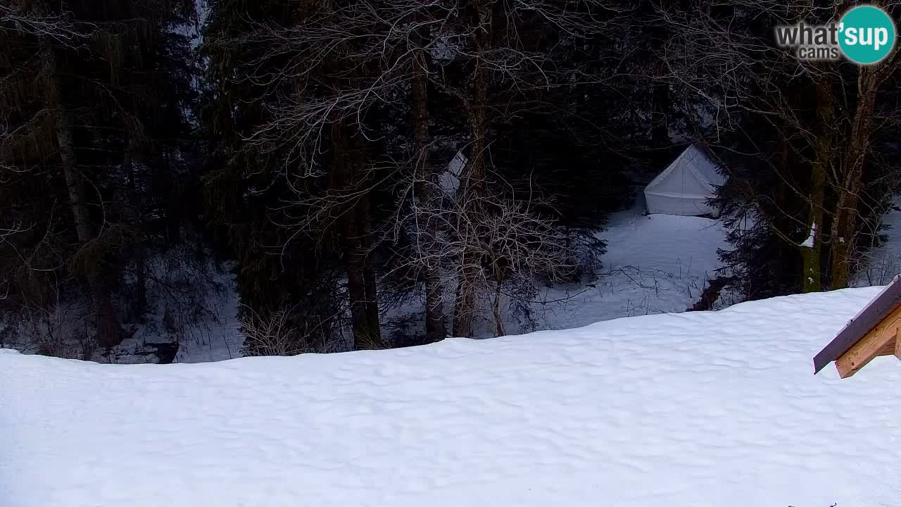 Web kamera Lukanja – Water Village | Pohorje Houses