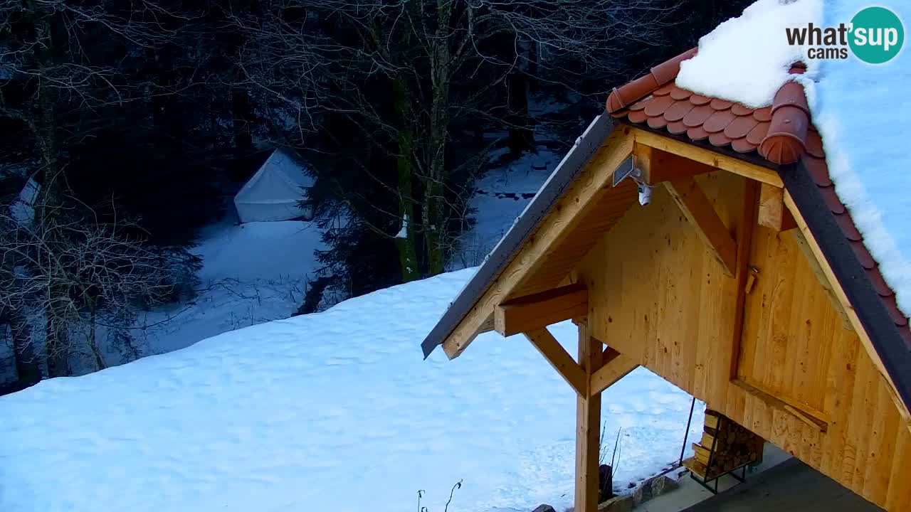 Spletna kamera Lukanja – Water Village | Pohorje Houses