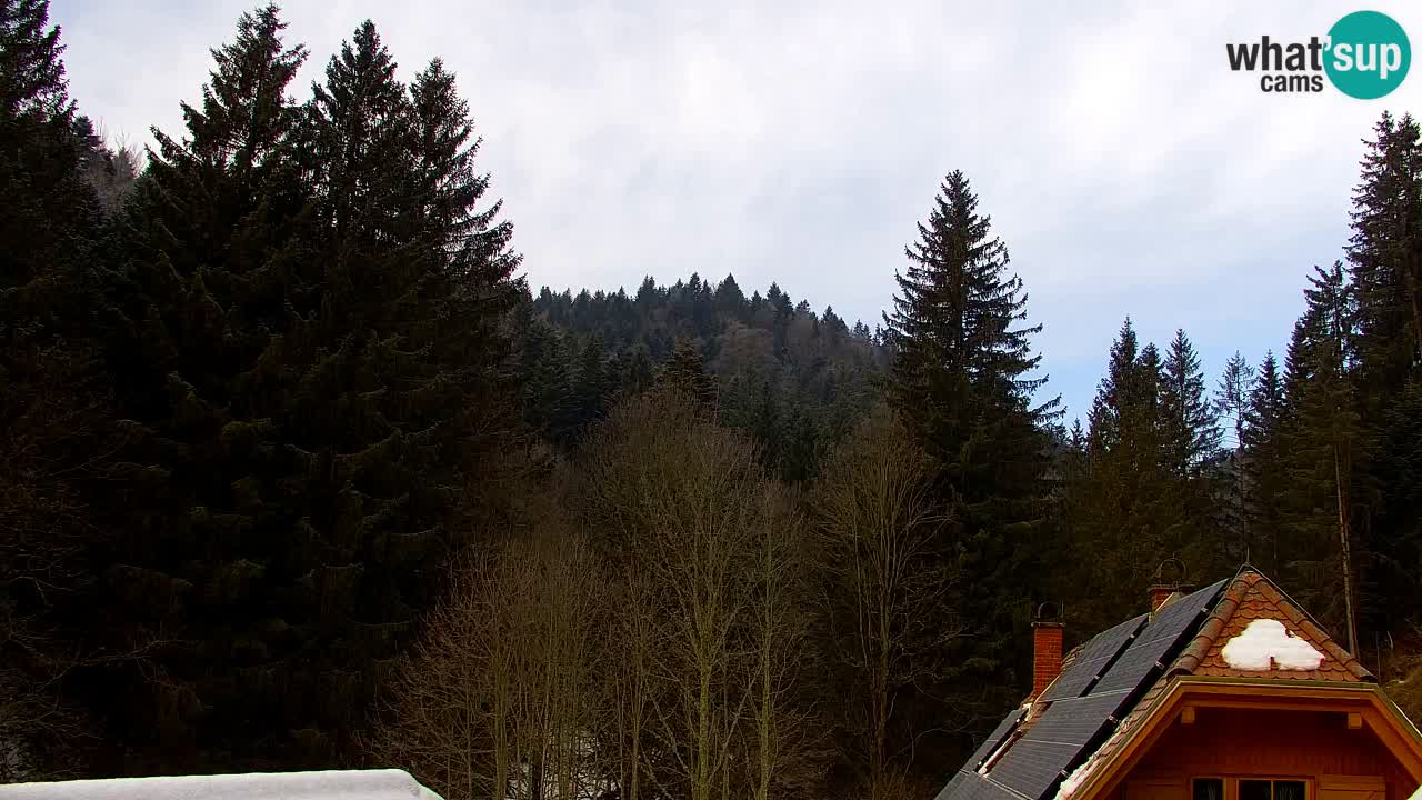 Webcam Lukanja – Pohorje houses a Water village