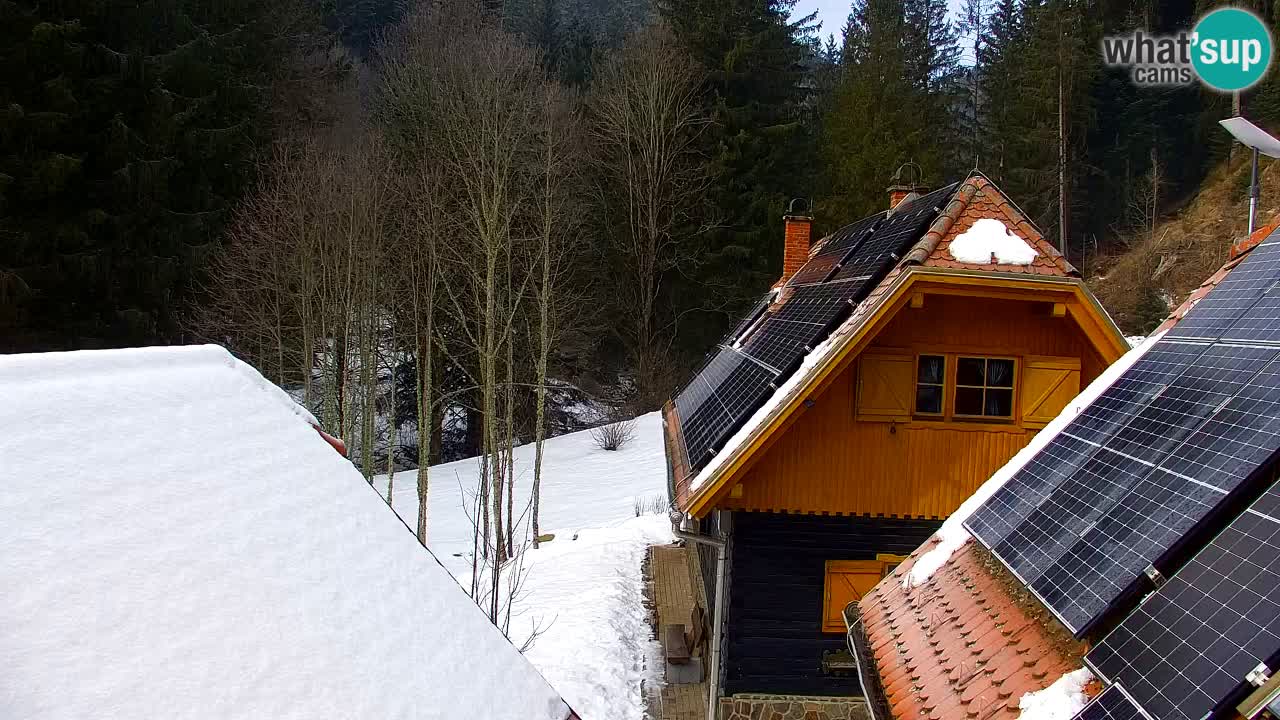 Webcam Lukanja – Water Village | Pohorje Houses