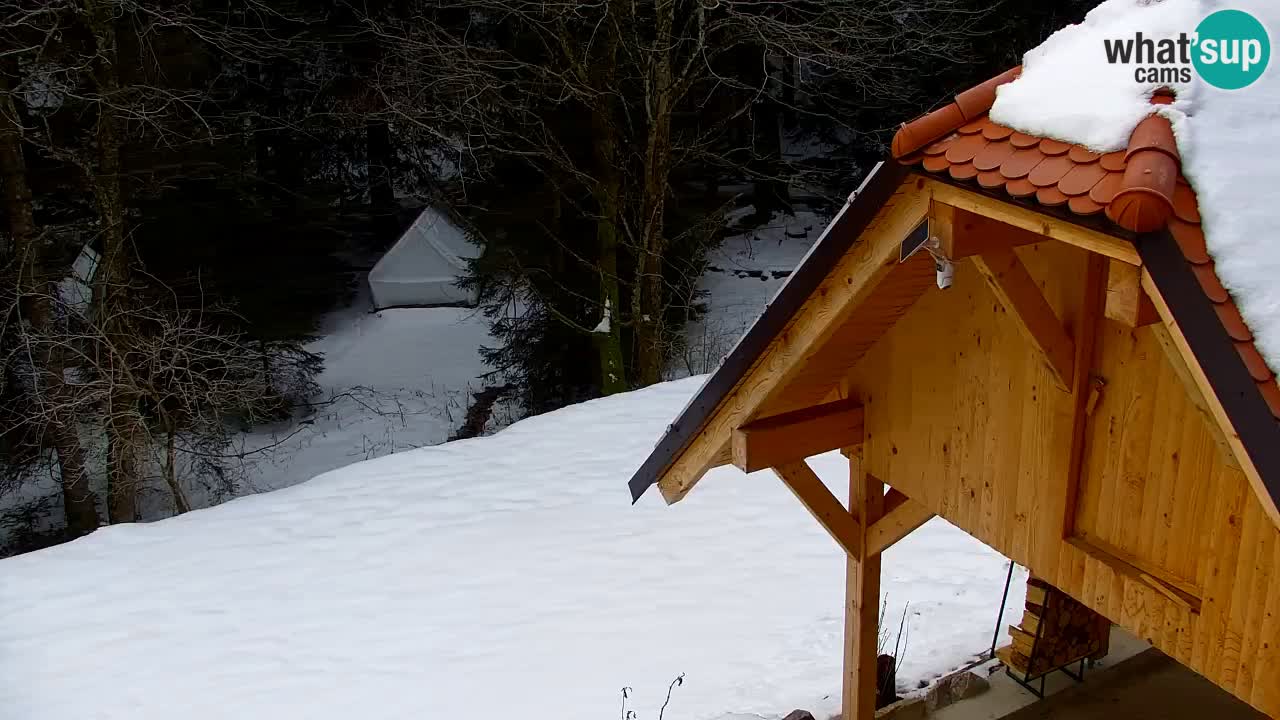 Webcam Lukanja – Pohorje houses a Water village