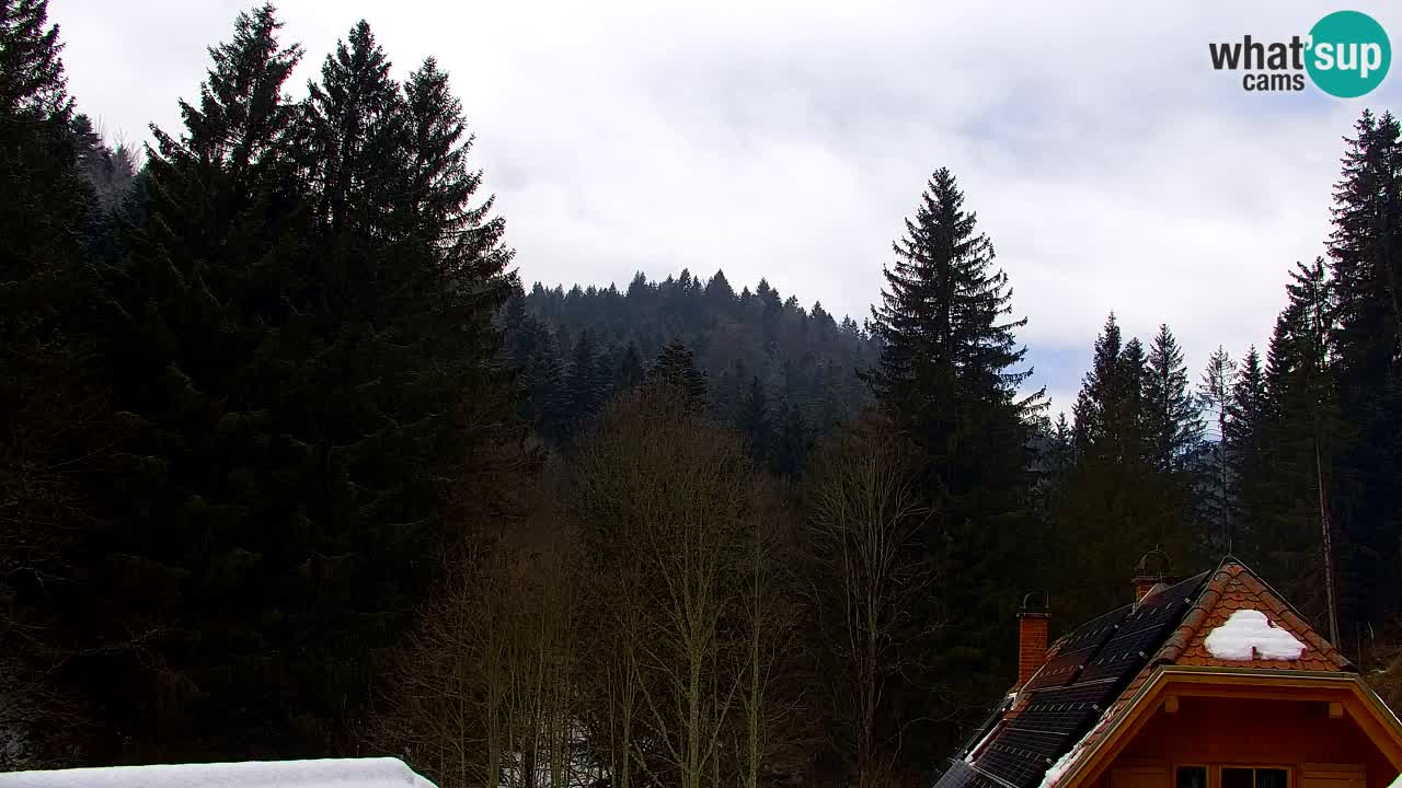 Webcam Lukanja – Water Village | Pohorje Houses