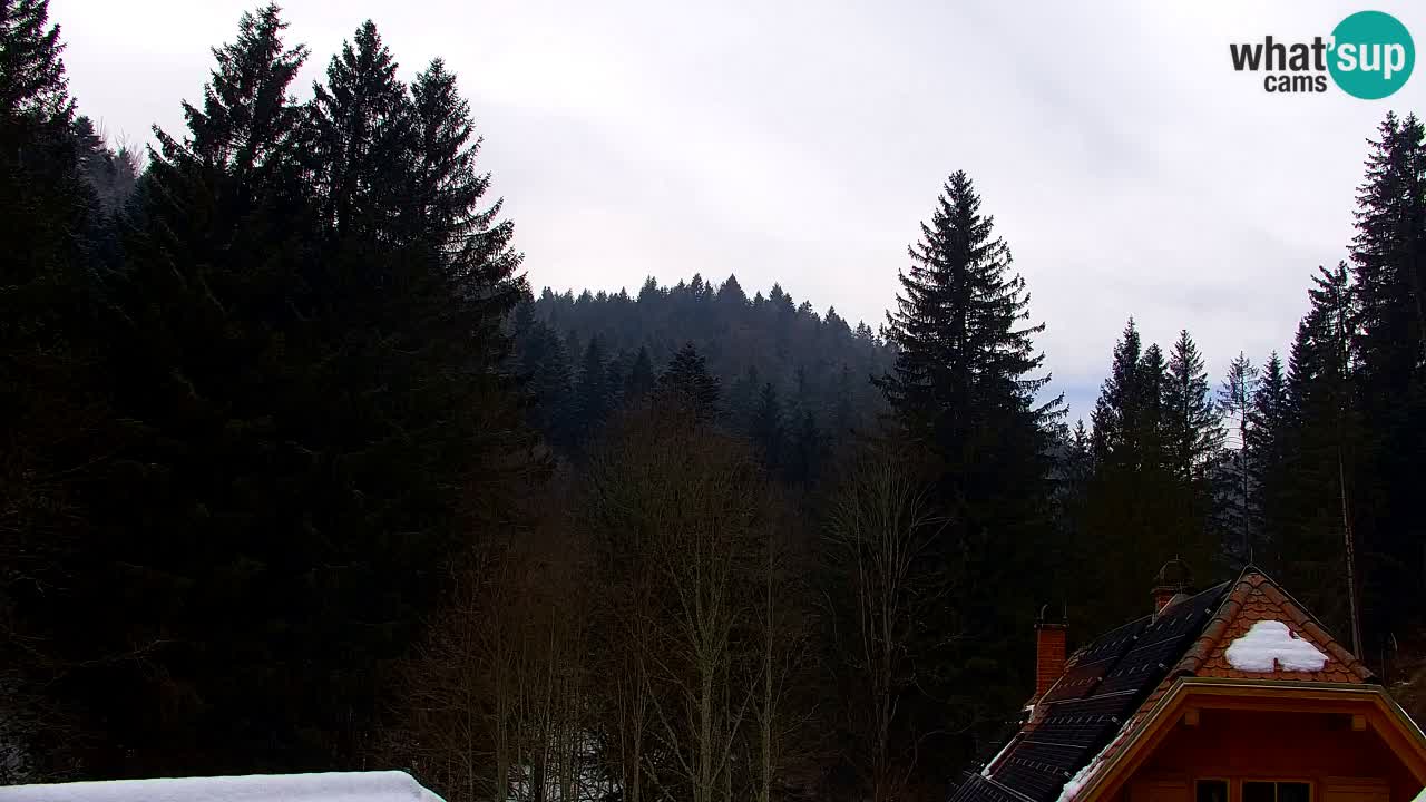 Webcam Lukanja – Pohorje houses a Water village