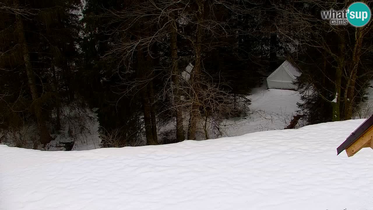 Webcam Lukanja – Water Village | Pohorje Houses