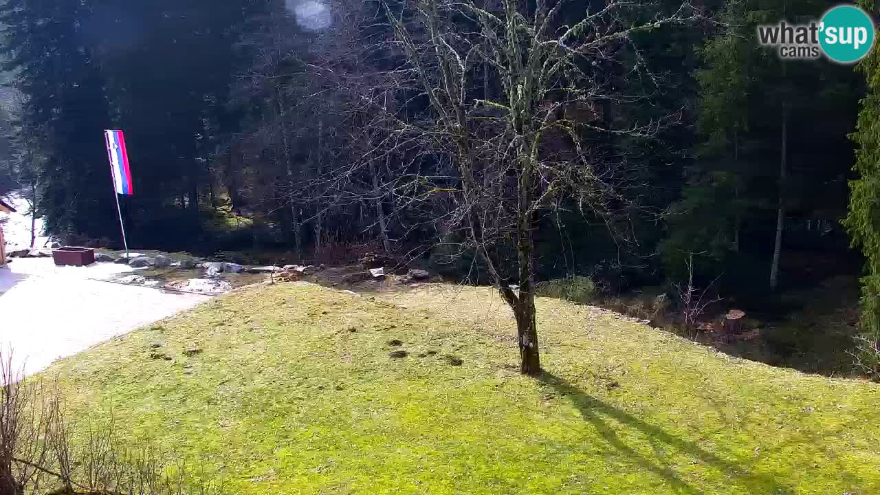 Webcam Lukanja – Water Village | Pohorje Houses