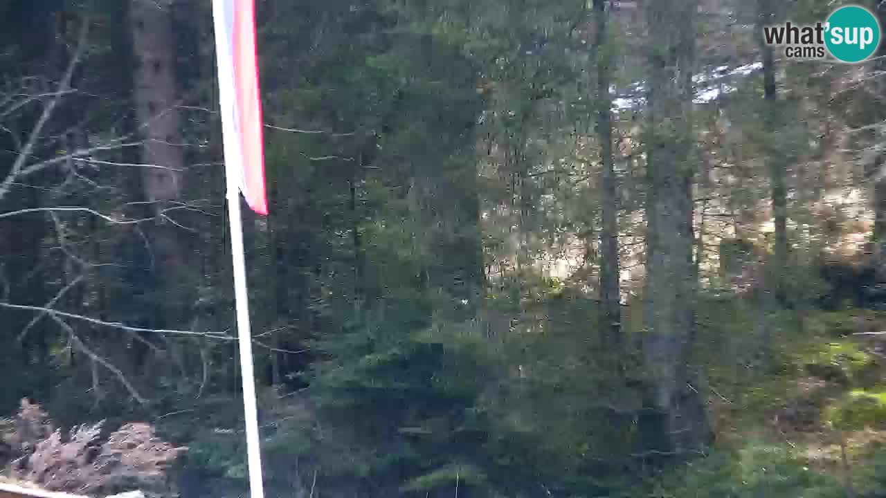 Webcam Lukanja – Pohorje houses a Water village