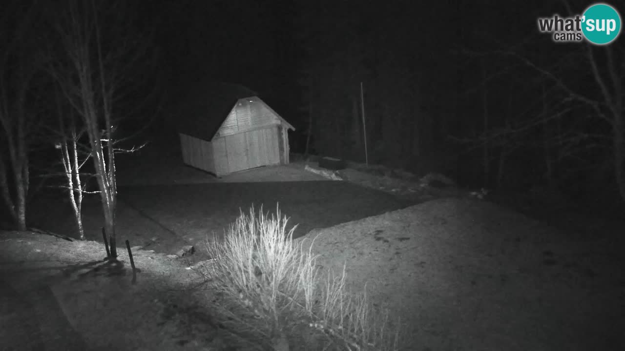 Spletna kamera Lukanja – Water Village | Pohorje Houses