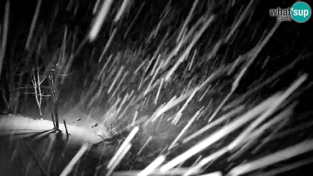 Webcam Lukanja – Pohorje houses a Water village