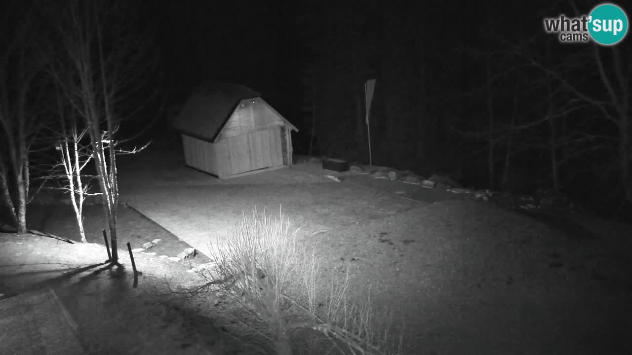 Webcam Lukanja – Water Village | Pohorje Houses