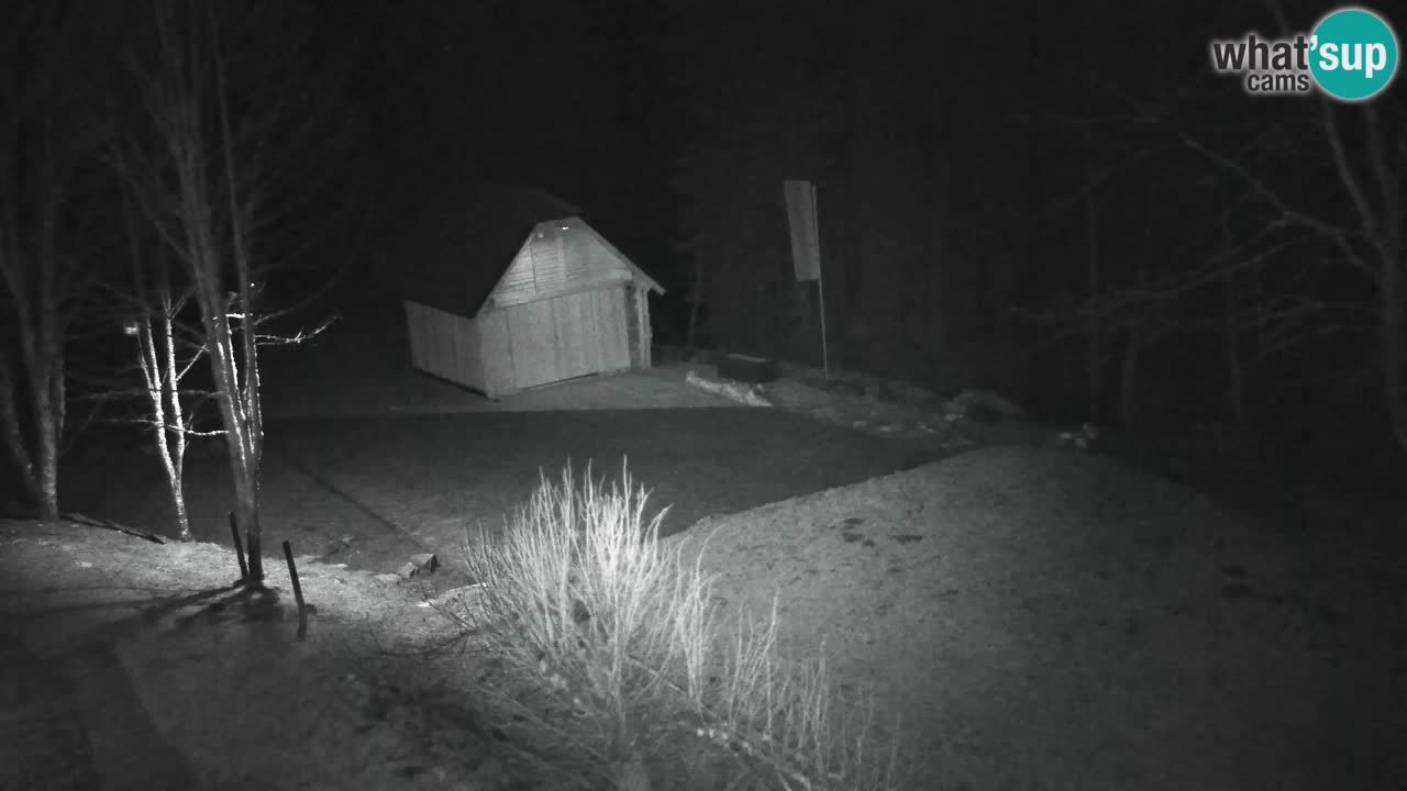 Webcam Lukanja – Water Village | Pohorje Houses