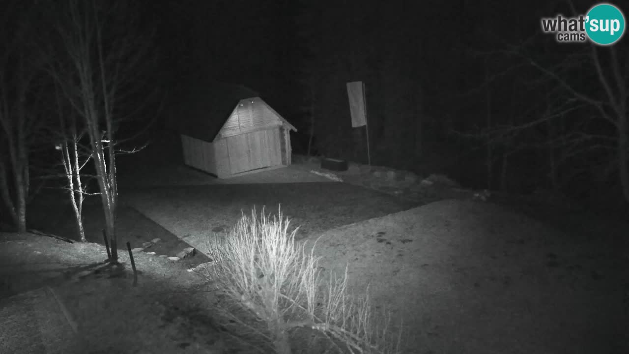 Webcam Lukanja – Water Village | Pohorje Houses