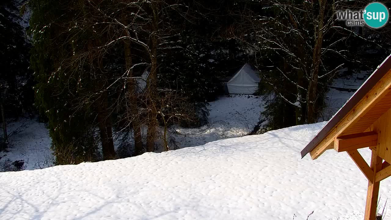 Webcam Lukanja – Water Village | Pohorje Houses