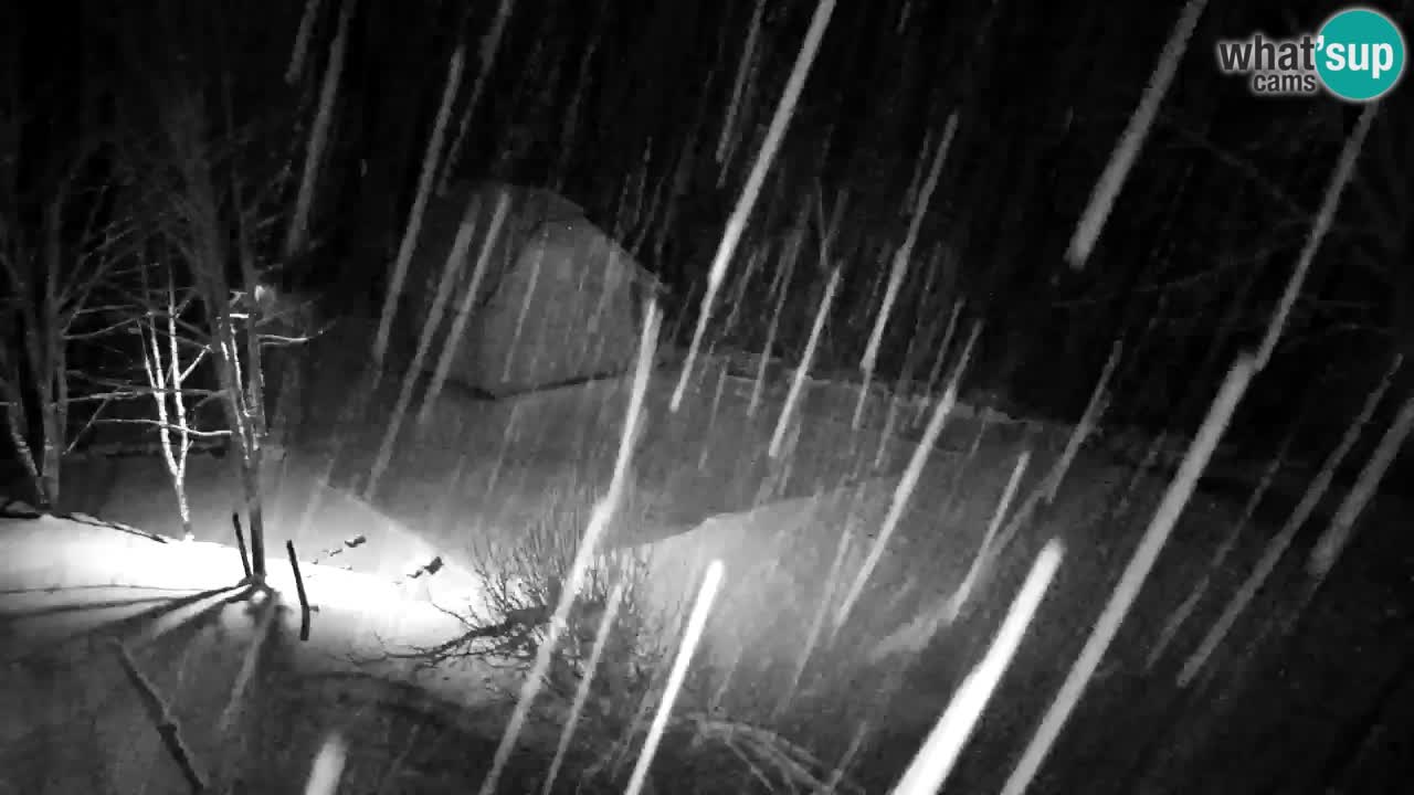 Webcam Lukanja – Water Village | Pohorje Houses