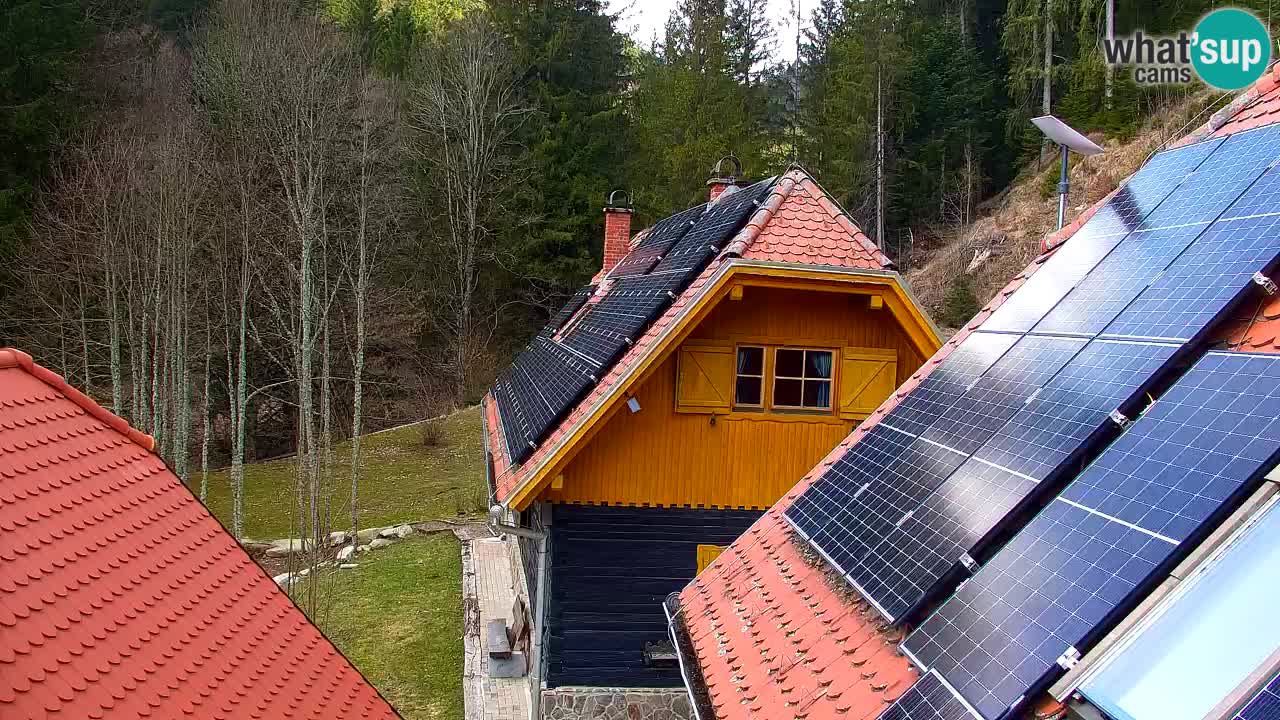 Webcam Lukanja – Pohorje houses a Water village