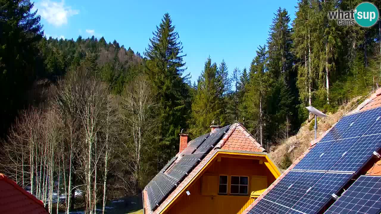 Webcam Lukanja – Pohorje houses a Water village