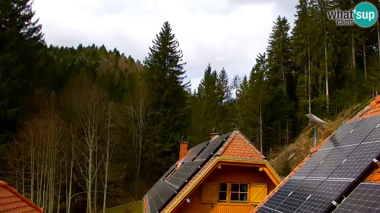 Webcam Lukanja – Water Village | Pohorje Houses