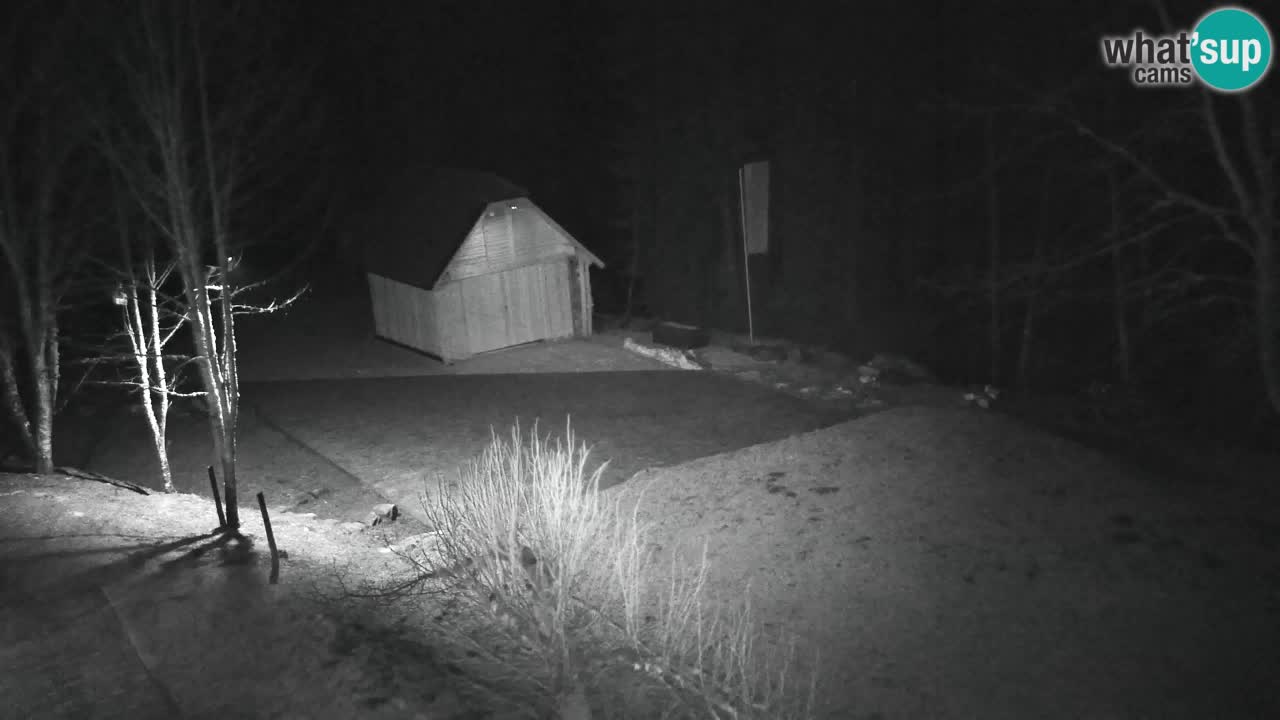 Webcam Lukanja – Water Village | Pohorje Houses