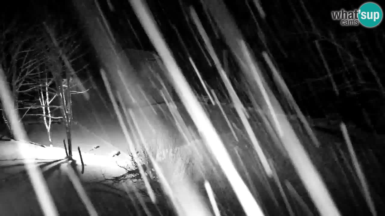 Webcam Lukanja – Water Village | Pohorje Houses