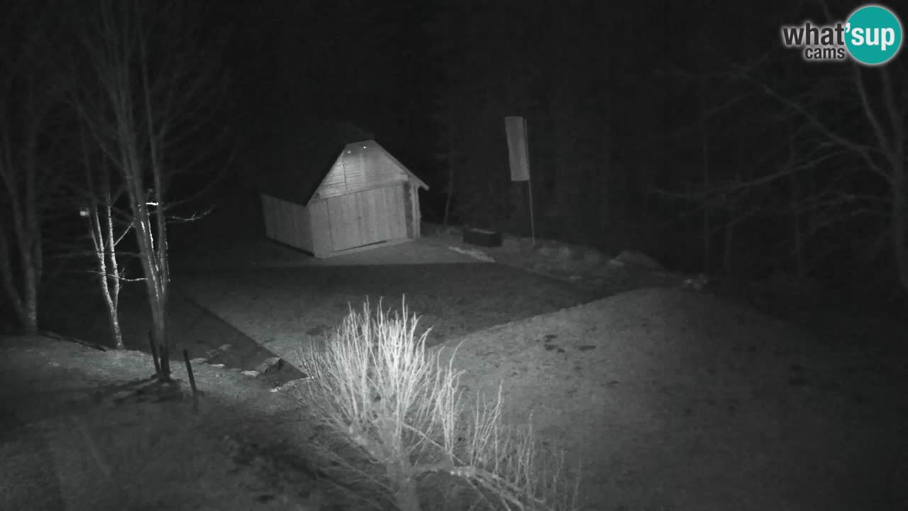 Webcam Lukanja – Pohorje houses a Water village