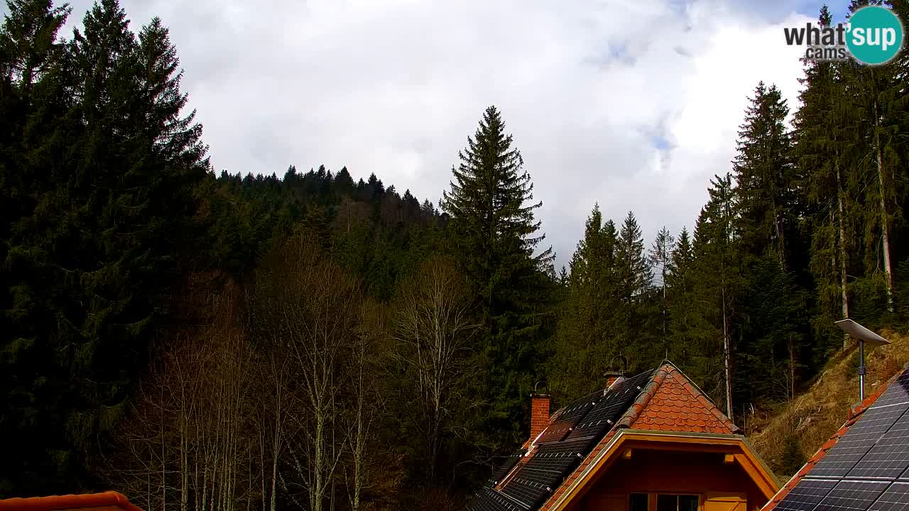 Webcam Lukanja – Water Village | Pohorje Houses