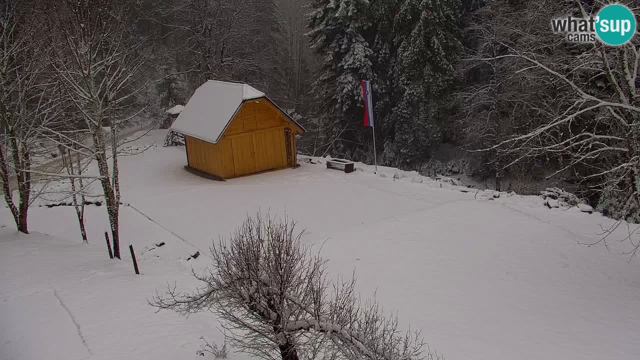 Spletna kamera Lukanja – Water Village | Pohorje Houses