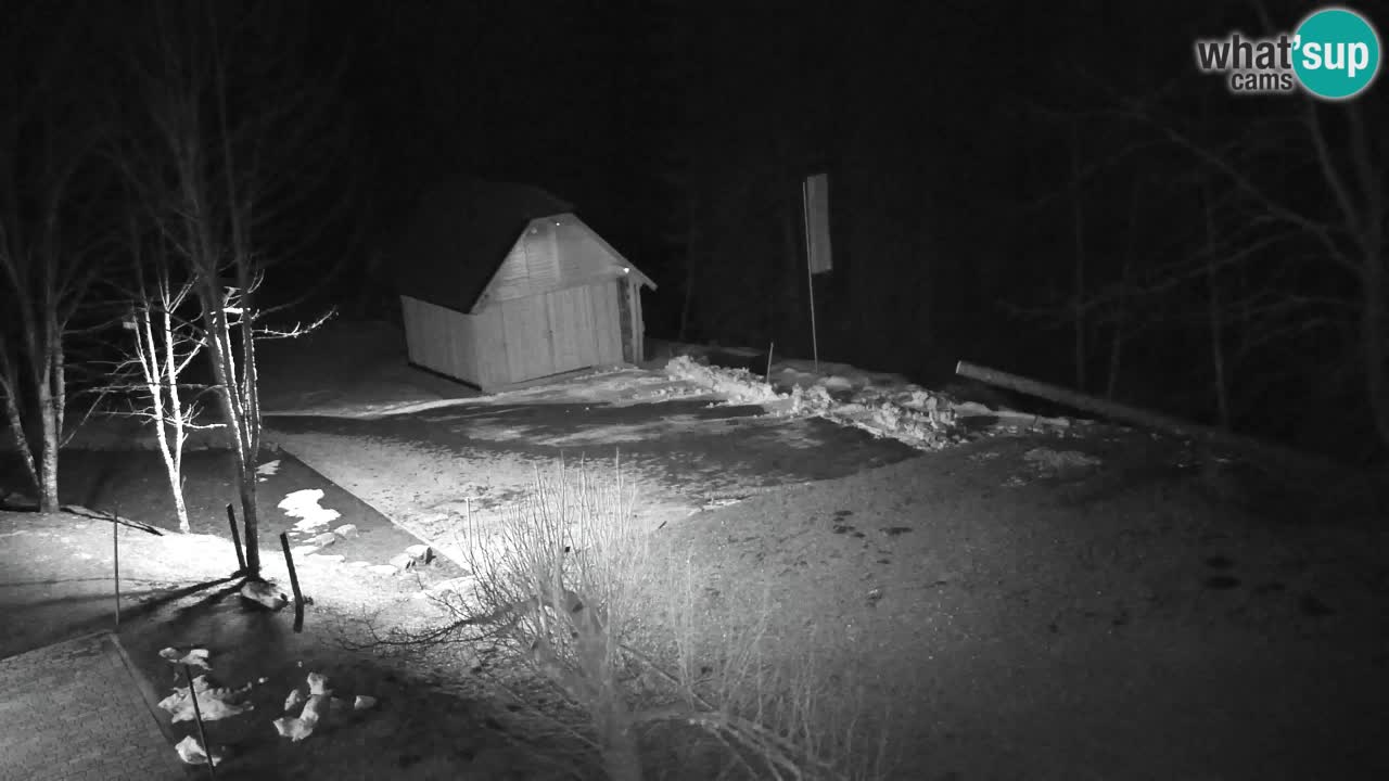 Webcam Lukanja – Pohorje houses a Water village