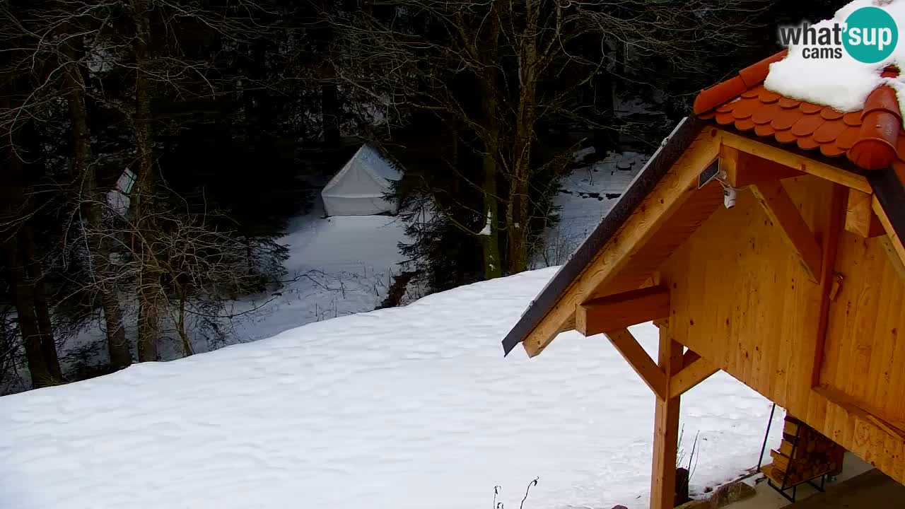 Webcam Lukanja – Water Village | Pohorje Houses