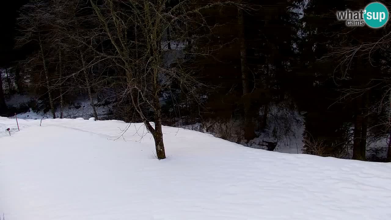 Webcam Lukanja – Pohorje houses a Water village