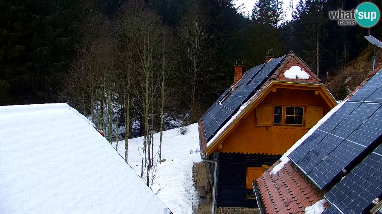 Webcam Lukanja – Pohorje houses a Water village